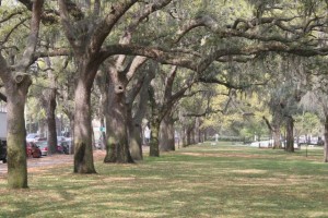 Riverfront park