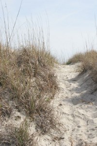 Tybee Island beach path