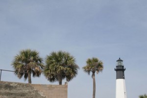 Treetops and lighthouse tops