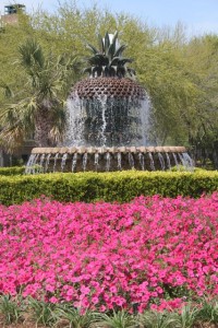 Pineapple fountain