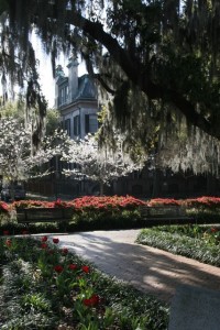 Downtown Savannah