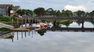 Swan boats on the river