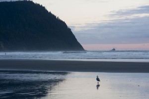 Tillamook head and Terrible Tilly lighthouse