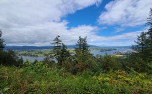 Columbia River view on the way