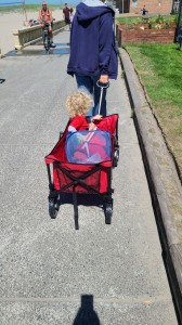 Taking Tucker to the beach