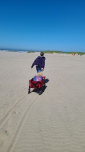 Wagon in the sand (tough going)