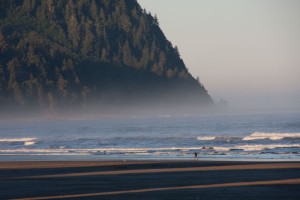 Tillamook Head in the mist