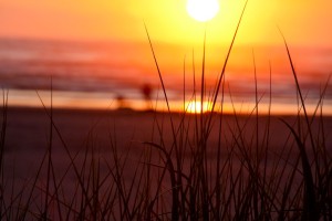 Sunset through the beach grass