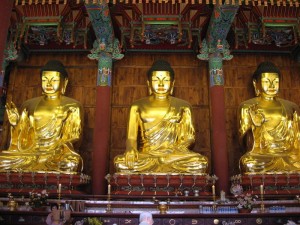 3 gold Buddhas