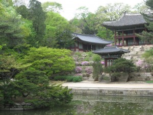 Library and pond