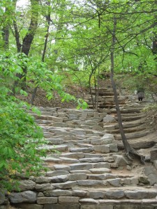 Garden path