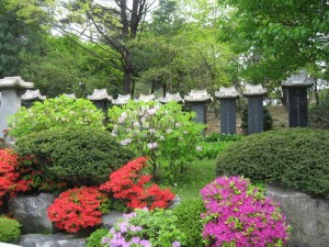 Deep meaningful stones at the temple