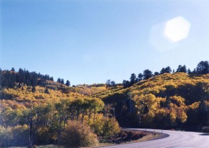 Aspens