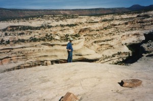 Bart observes the natural bridges