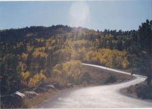 Aspens