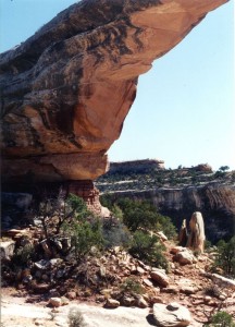 Natural bridge #3