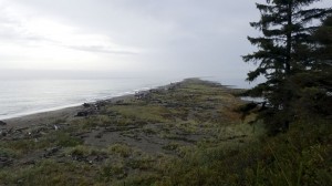 Dungeness Spit