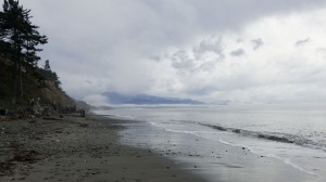 Beach at Dungeness Spit