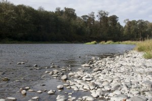 Exploring the river