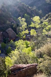 Zion Canyon