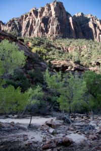 Zion Canyon