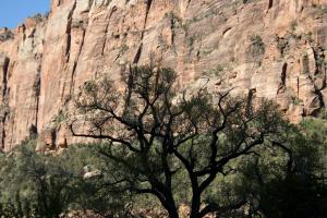 Zion Canyon