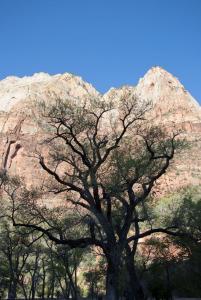 Zion Canyon