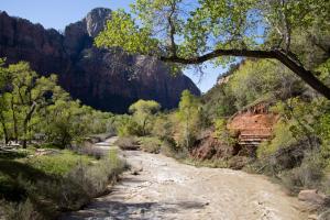 Zion Canyon