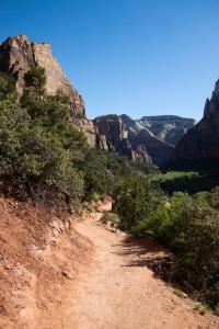 A view down the trail