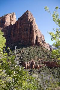 Zion Canyon