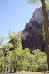 Zion Canyon