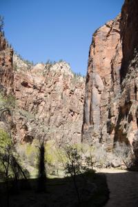 Zion Canyon