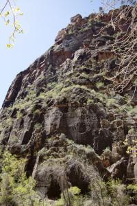 Zion Canyon