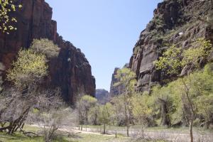 Zion Canyon