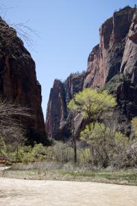 Zion Canyon