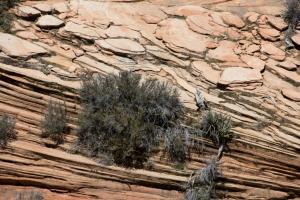 Zion Canyon