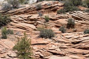 Zion Canyon