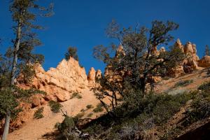 Bryce Canyon