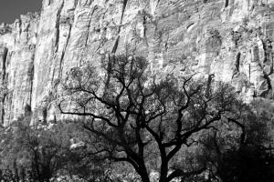 Zion National Park