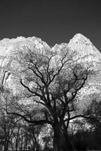 Zion National Park