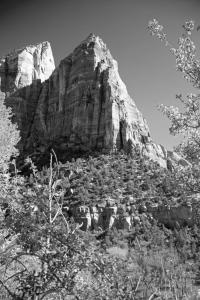 Zion National Park